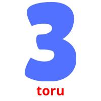 toru picture flashcards