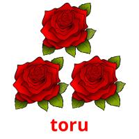 toru picture flashcards