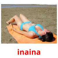 inaina picture flashcards