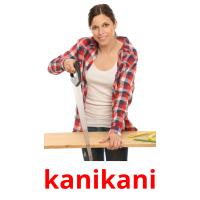 kanikani picture flashcards