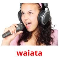 waiata picture flashcards