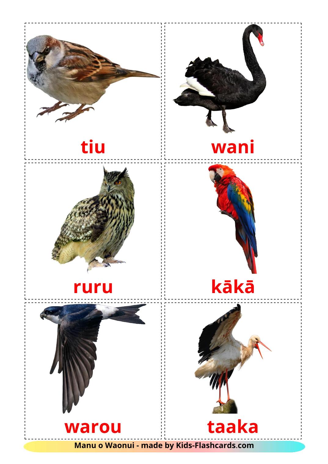 Wildvögel - 18 kostenlose, druckbare Maori Flashcards 