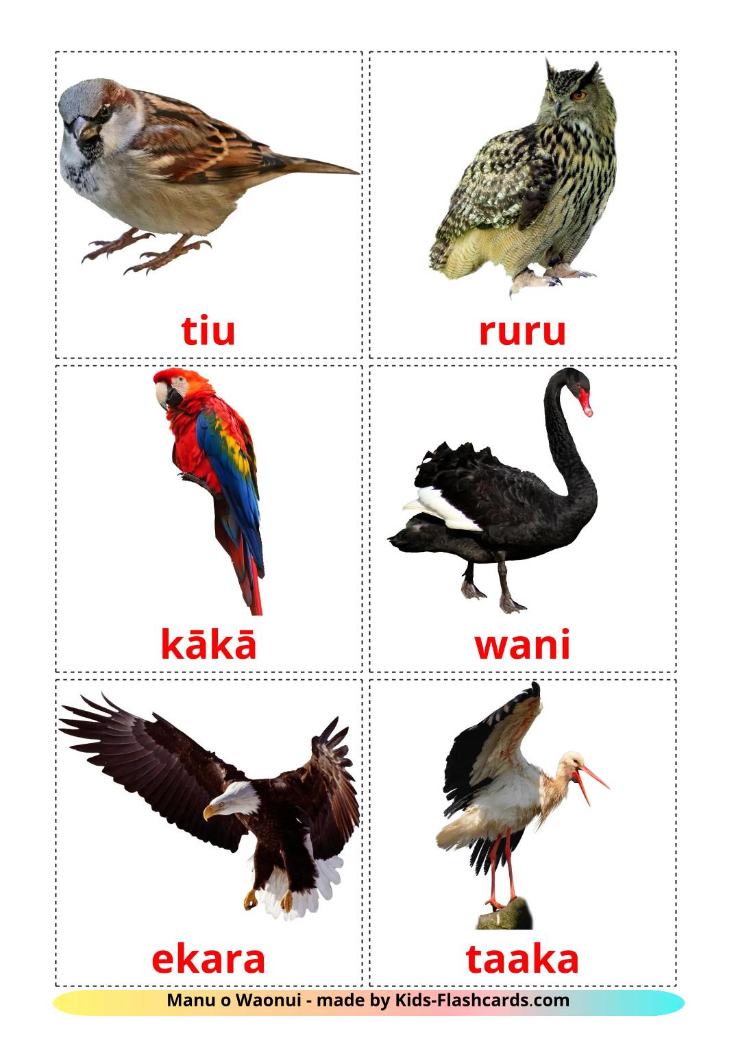 Wild birds - 19 Free Printable maori Flashcards 