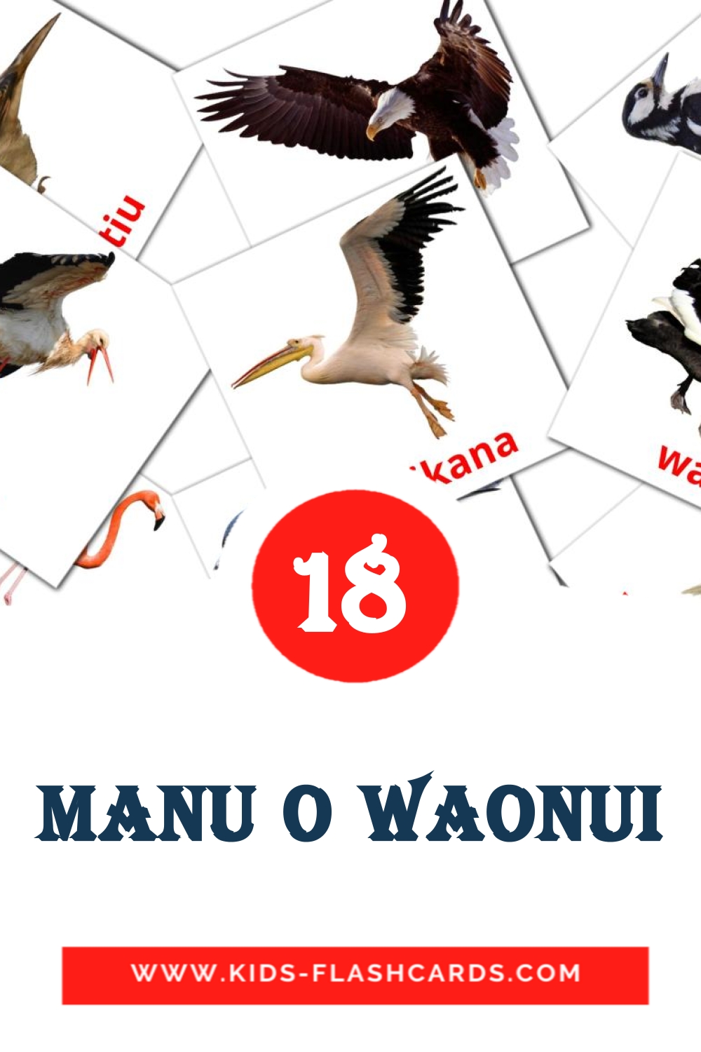 18 Manu o Waonui Picture Cards for Kindergarden in maori