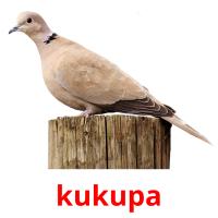 kukupa picture flashcards