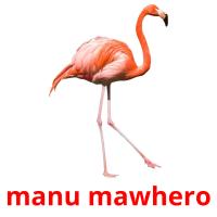 manu mawhero card for translate