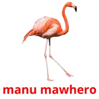 manu mawhero picture flashcards