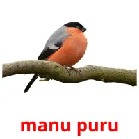 manu puru picture flashcards