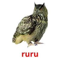 ruru picture flashcards