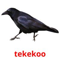 tekekoo card for translate