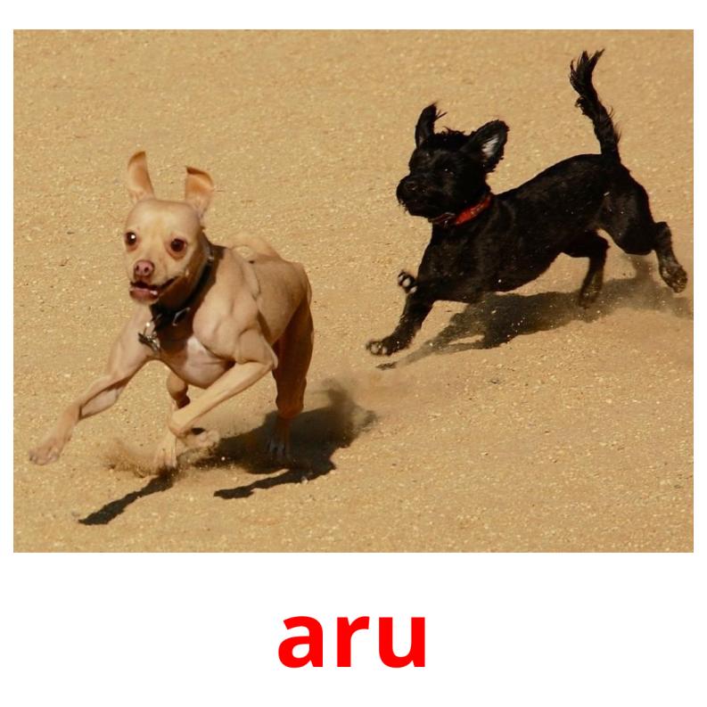 aru picture flashcards