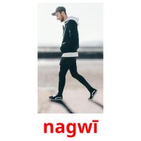 nagwī picture flashcards