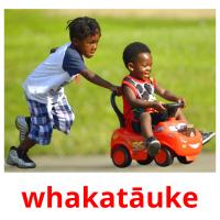 whakatāuke cartes flash