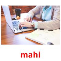 mahi picture flashcards