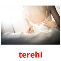 terehi picture flashcards