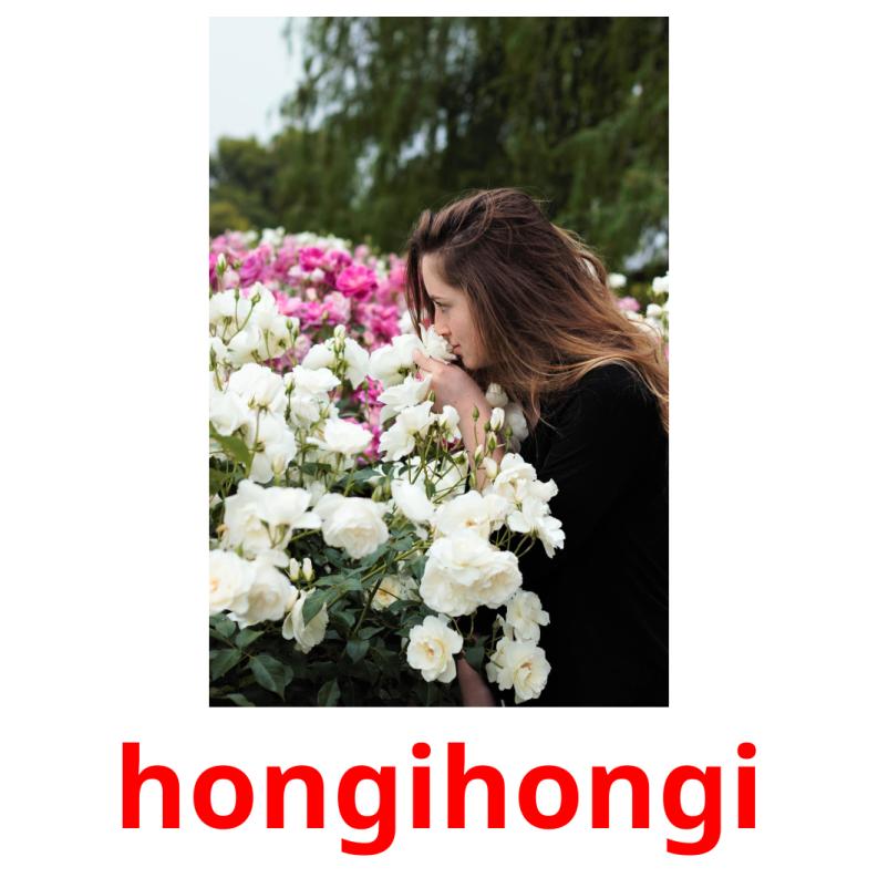 hongihongi picture flashcards