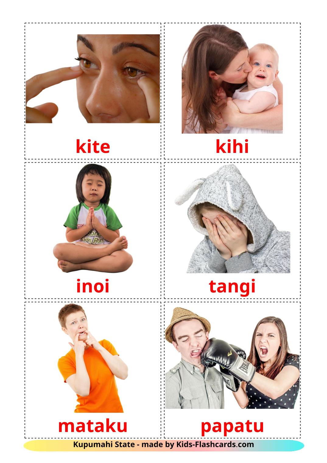 State verbs - 23 Free Printable maori Flashcards 