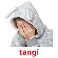 tangi picture flashcards