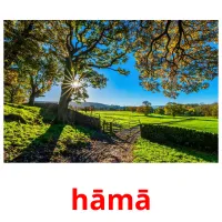 hāmā cartões com imagens