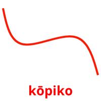 kōpiko picture flashcards