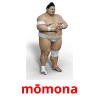 mōmona picture flashcards