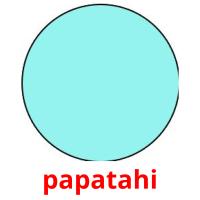 papatahi picture flashcards