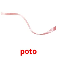 poto cartões com imagens