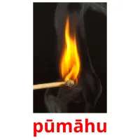 pūmāhu cartões com imagens