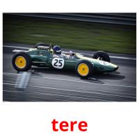 tere picture flashcards