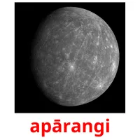 apārangi flashcards illustrate