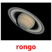 rongo flashcards illustrate