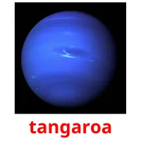 tangaroa flashcards illustrate