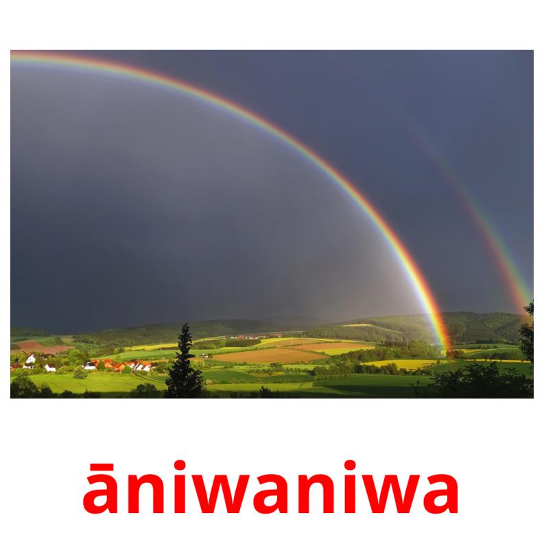 āniwaniwa карточки энциклопедических знаний