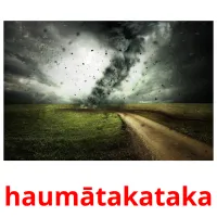 haumātakataka picture flashcards