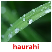 haurahi picture flashcards