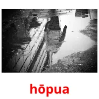 hōpua picture flashcards