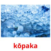 kōpaka picture flashcards