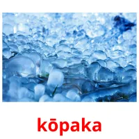 kōpaka picture flashcards