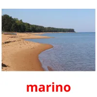 marino picture flashcards