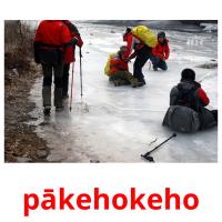 pākehokeho picture flashcards