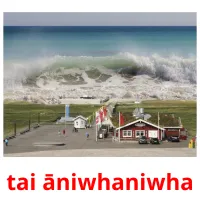 tai āniwhaniwha picture flashcards