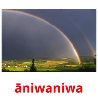āniwaniwa card for translate