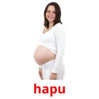 hapu card for translate