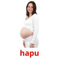 hapu picture flashcards