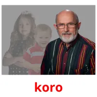 koro picture flashcards