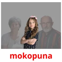 mokopuna picture flashcards