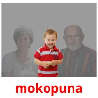 mokopuna picture flashcards