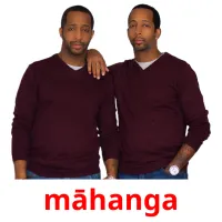 māhanga picture flashcards