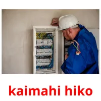 kaimahi hiko picture flashcards