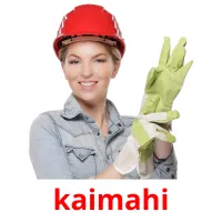 kaimahi picture flashcards